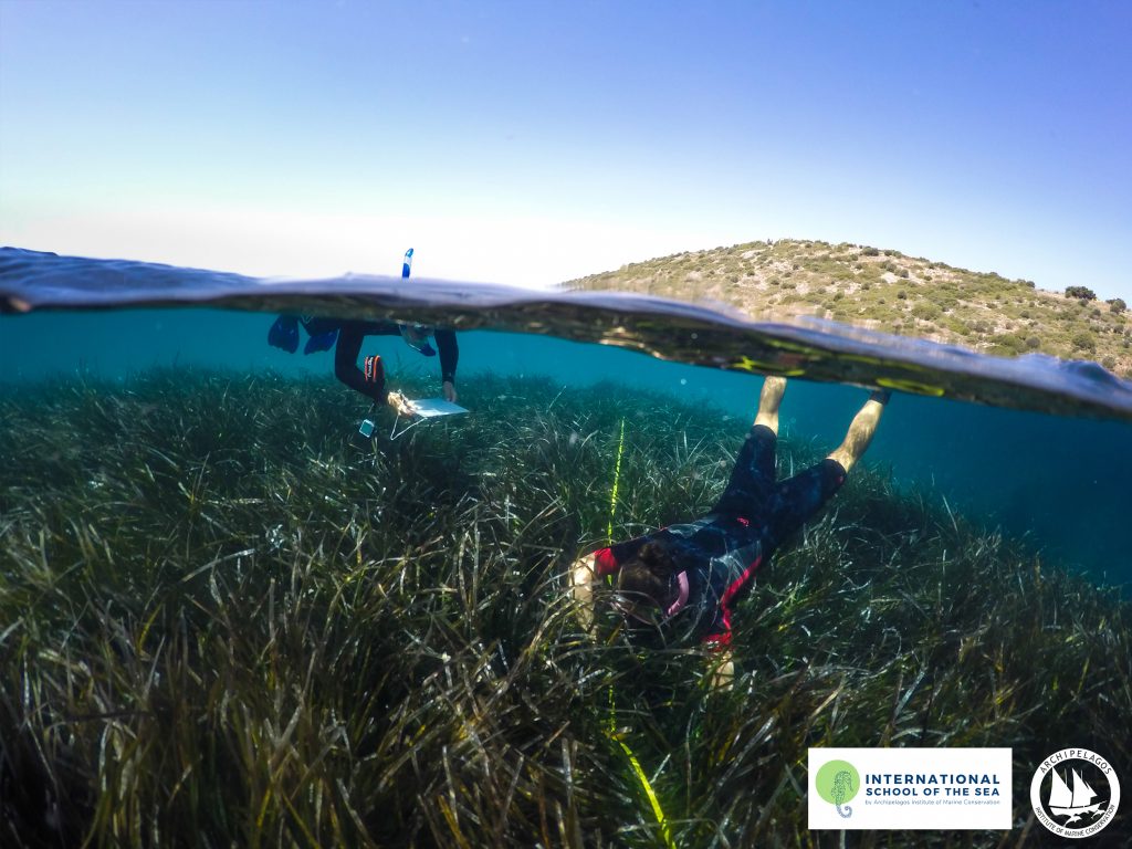 Microplastics Workshop 2022