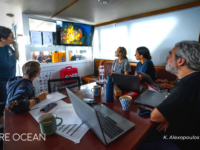 intern experience marine conservation