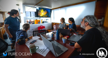 intern experience marine conservation