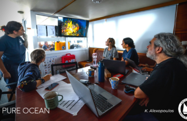 Lana Mena intern experience intern experience marine conservation