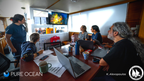 Lana Mena intern experience intern experience marine conservation