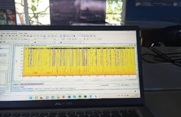 unnamed (1) bioacoustics internship