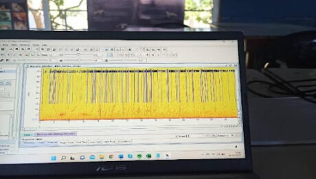 unnamed (1) bioacoustics internship