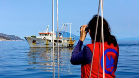 Archipelagos_A_Rotoletti