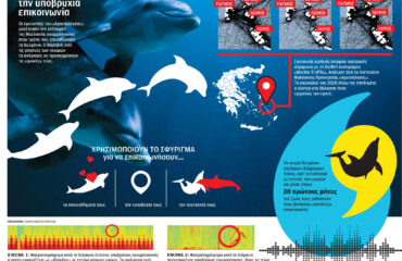 infograffic_Kathimerini_dolphins