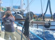 Συνάντηση Υπουργών Αλιείας στη Μάλτα – Μεγάλη ανησυχία για το μέλλον της αλιείας