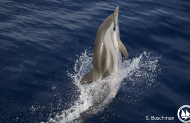 Screenshot 2023-10-31 at 10.48.29