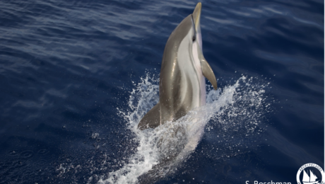 Screenshot 2023-10-31 at 10.48.29